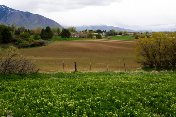 Mapleton, Utah