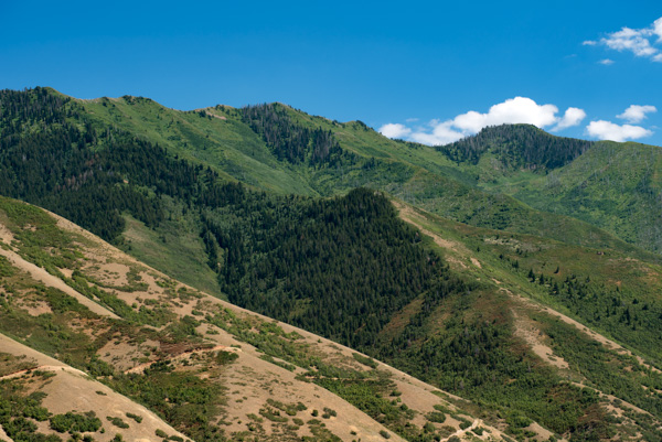 Mapleton, Utah