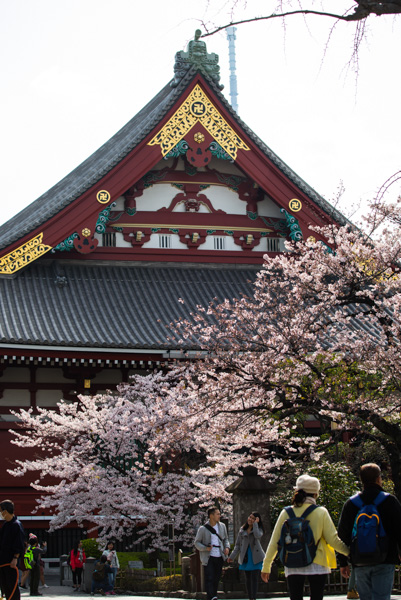 Sensoji Temple, Tokyo, Japan.