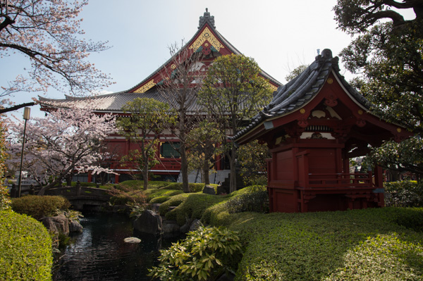 Garden, Sensoji Temple, Tokyo, Japan.