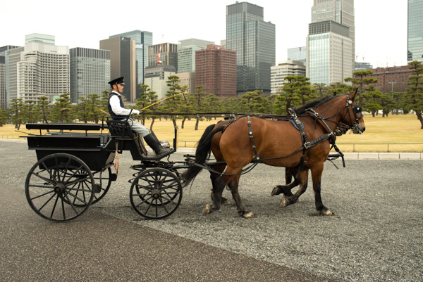 Horse and carriage, Imperial Palace, Tokyo, Japan