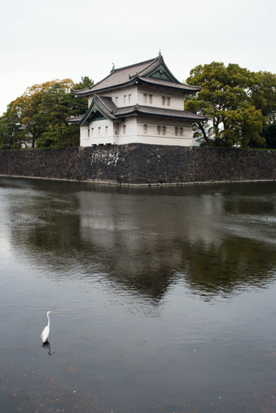 White egret, corner tower, moat, Imperial Palace, Tokyo, Japan