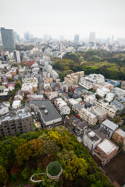Tokyo Neighborhood from above