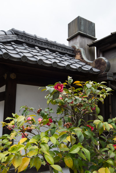 Flowers and roof, Kyoto Imperial Palace, Kyoto