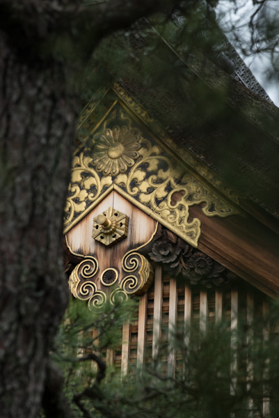 Roof detail, Kyoto Imperial Palace, Kyoto