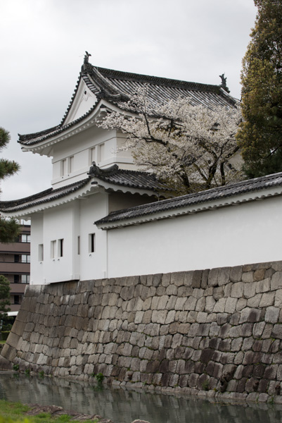 Tower and blossoms, Nijo-jo Castle, Kyoto, Japan