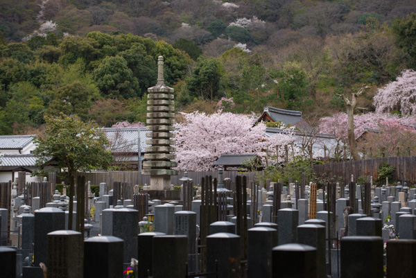 Graves, Bamboo Forest, Kyoto
