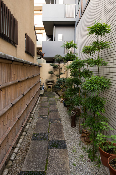 Corridor with trees, Kyoto