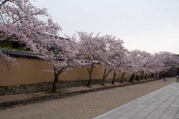 Walls, Horyu-ji