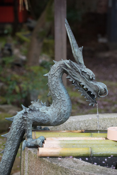 Dragon on dragon spring, Kyoto