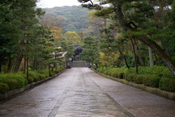 Walkway in park, Kyoto