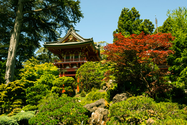 Agiwara Tea Garden