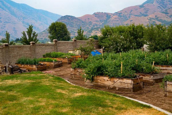 Gardening, Mapleton, Utah