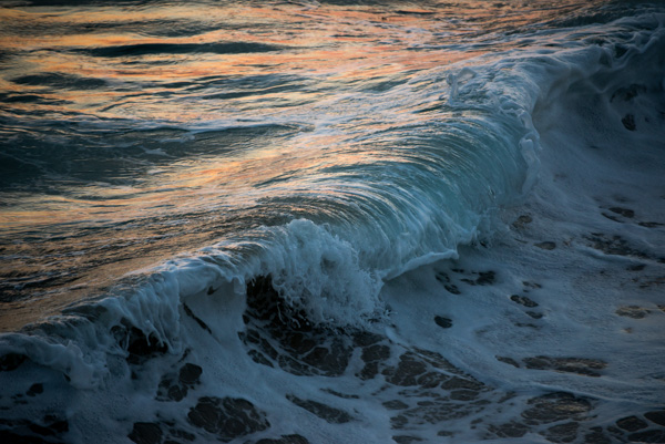 Wave at Newport Beach