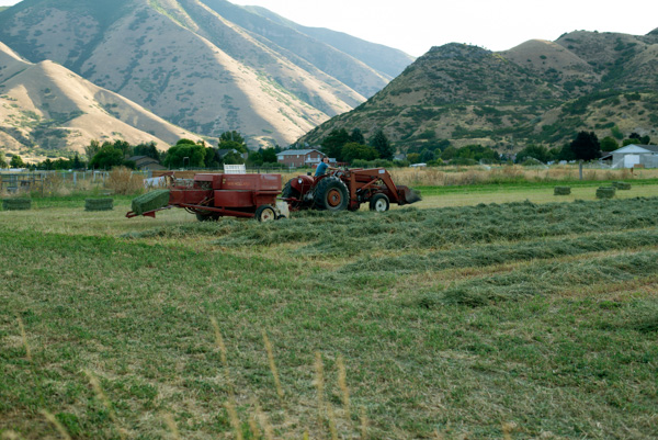Bailing Hay, Mapleton, Utah