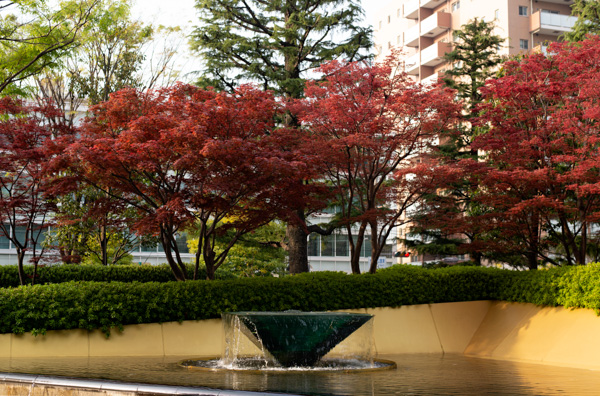 Hotel Fountain - Osaka