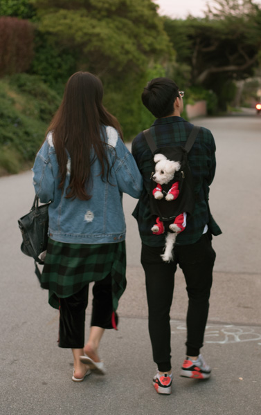 Couple with a dog in a backpack, Carmel, California
