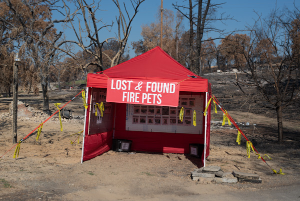 Burned out neighborhood, Keswick, California.
