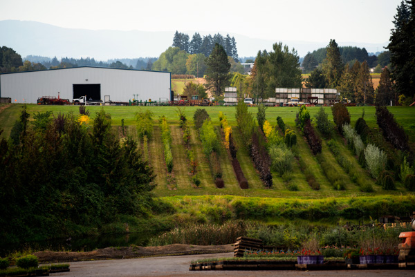 Oregon plant and tree industry, near Portland