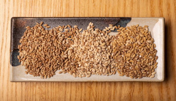 Varieties of grain